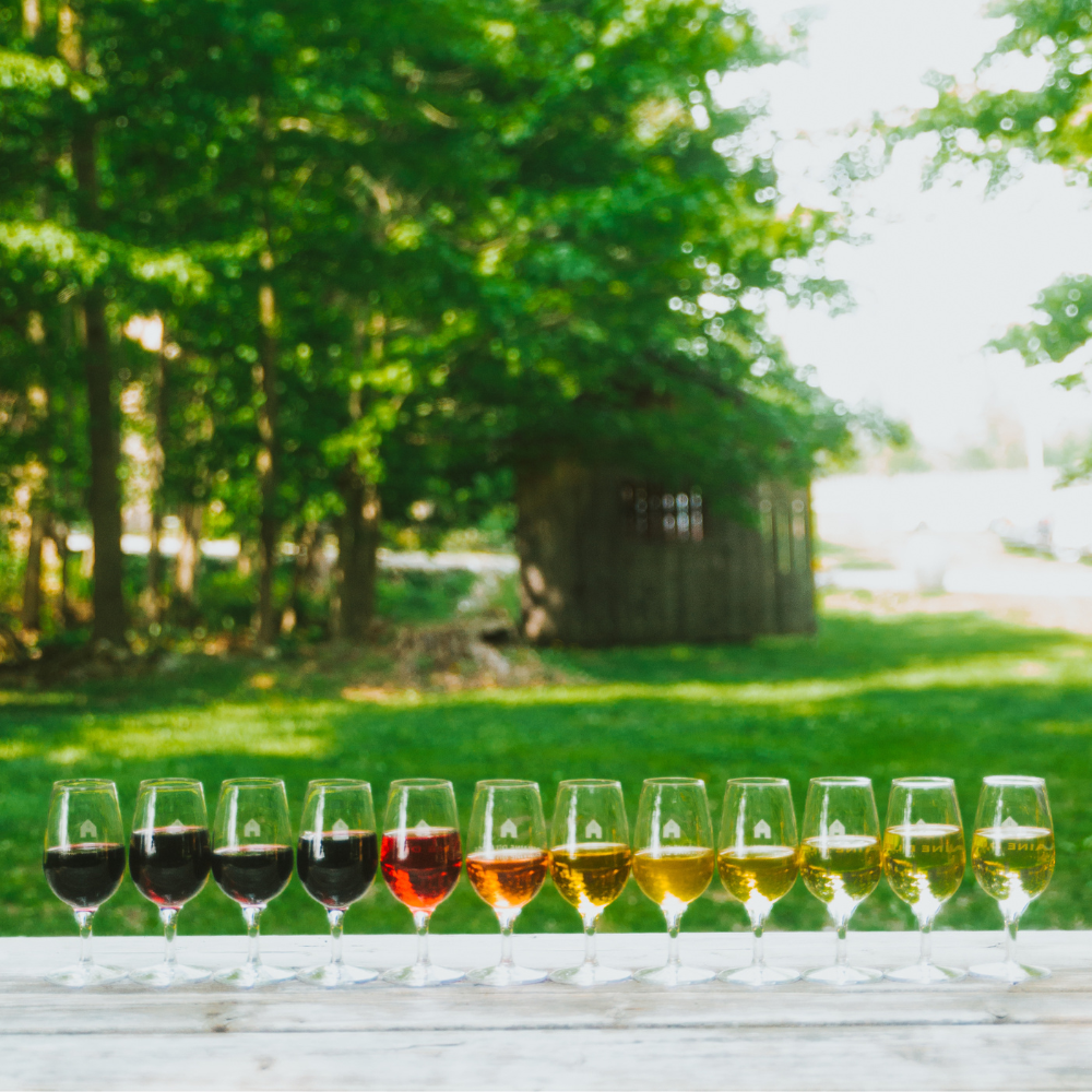 Dégustation de vins et boîte de 12 bouteilles pour 2 personnes - Domaine du Ridge
