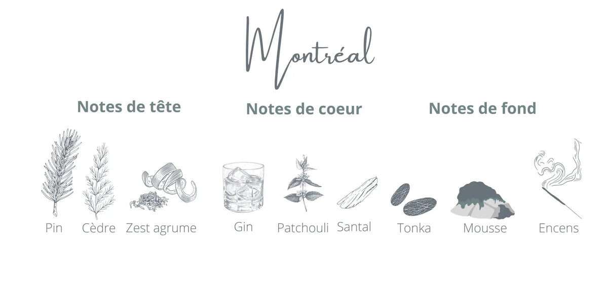 Candle - Montréal | Gin + Spruce