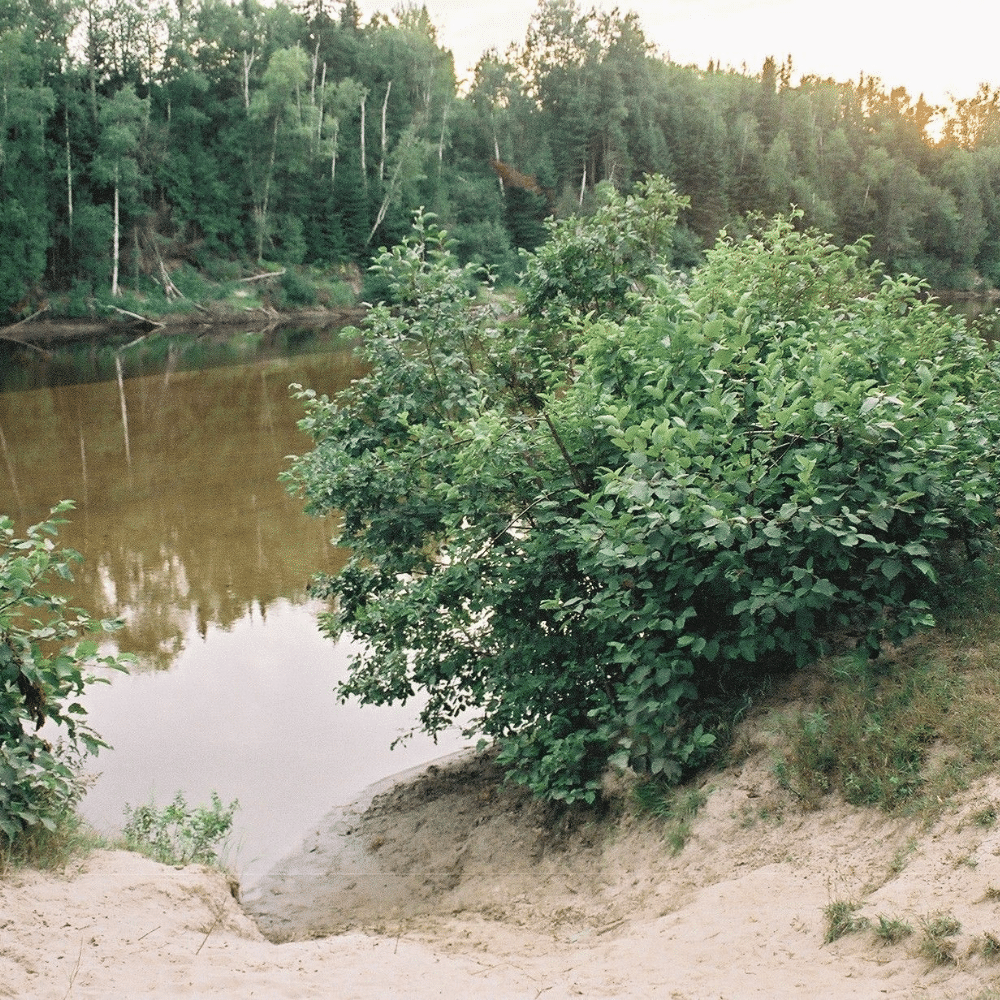 Canot ou kayak pour 2 personnes - Camping et tipis Labelle et la Rouge