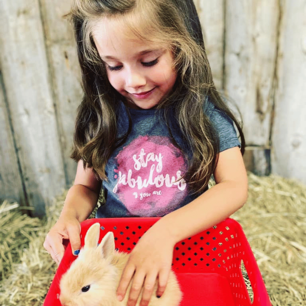 Visite avec les animaux pour 4 personnes - Ranch Dupont
