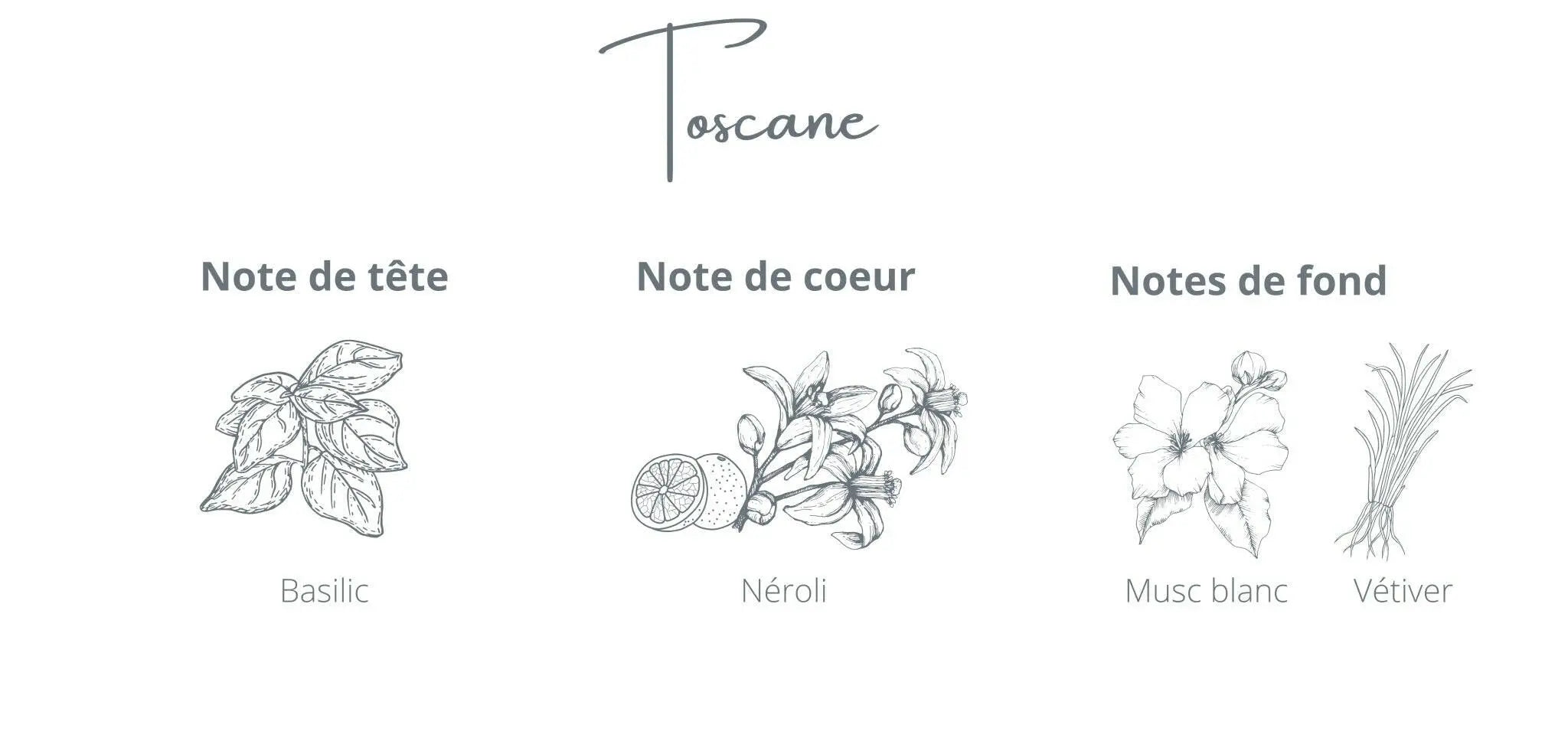 Recharge Toscane | Basilic + Néroli