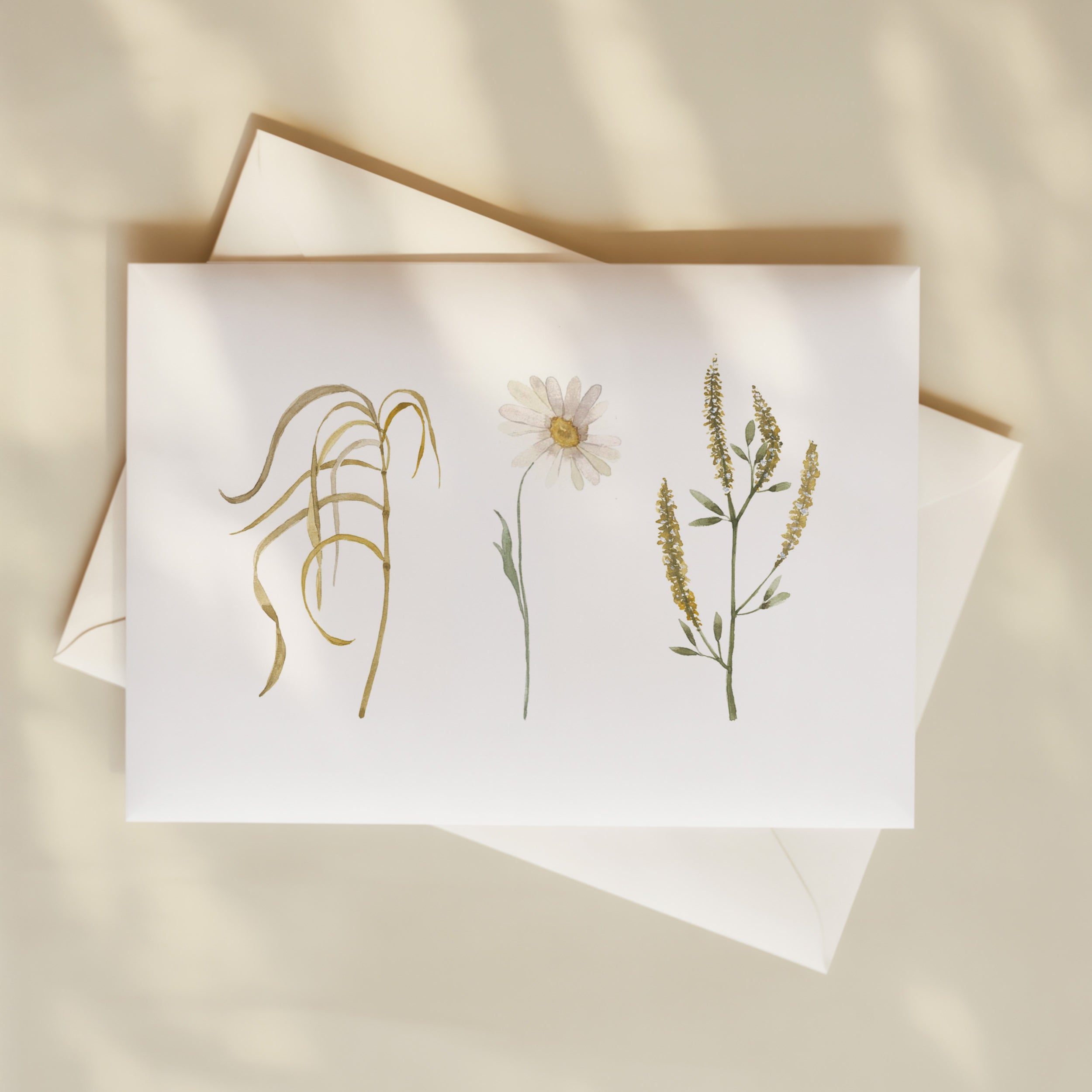 Carte de souhaits - Fleurs des champs