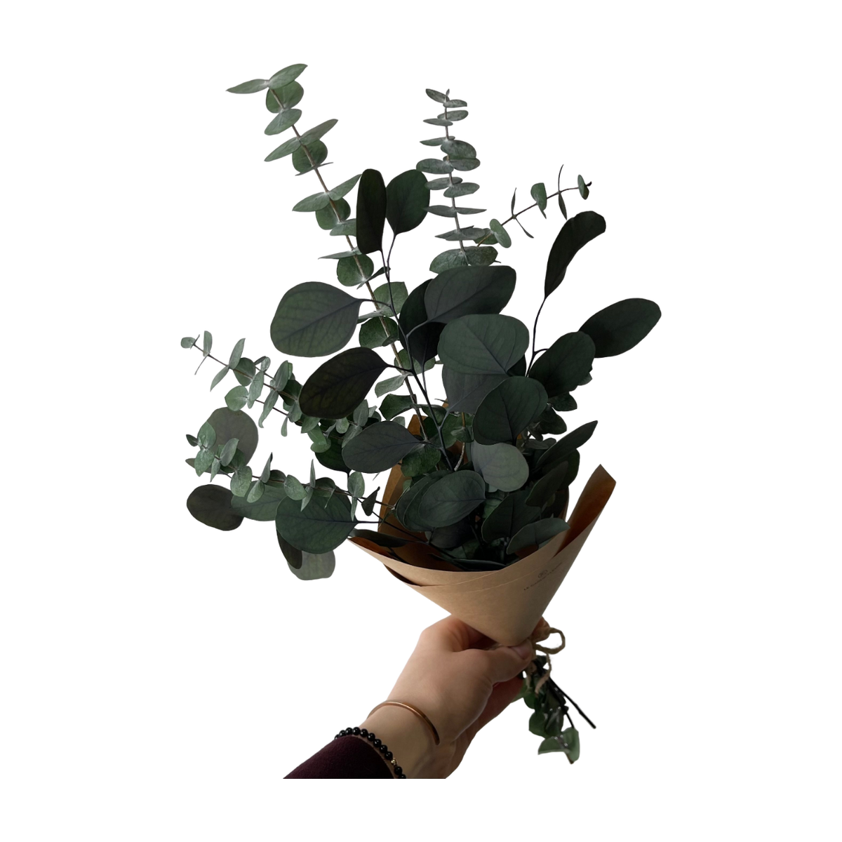 Duo d'eucalyptus