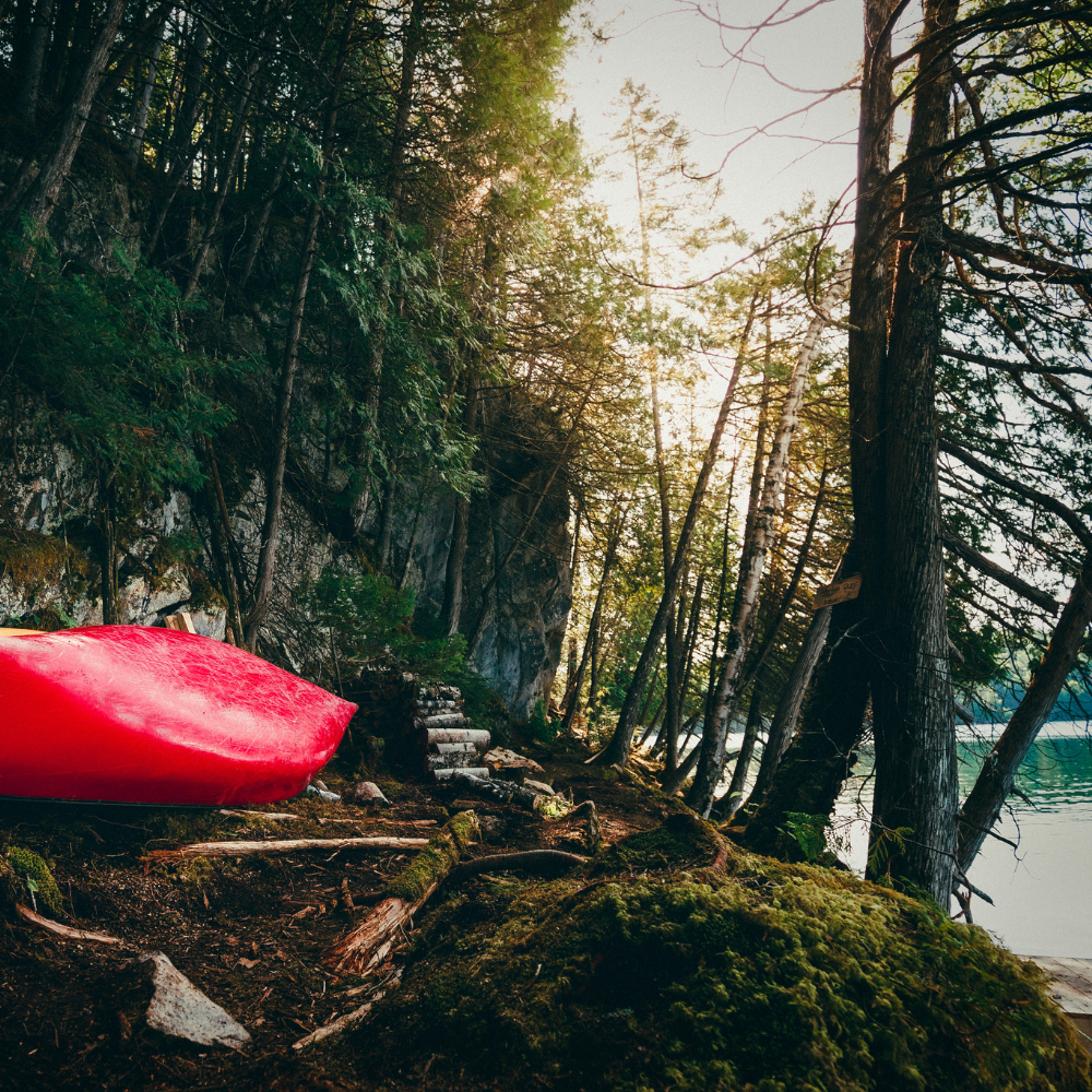 Séjour en micro-chalet et descente de rivière pour 4 personnes - CarpeDiem Aventures