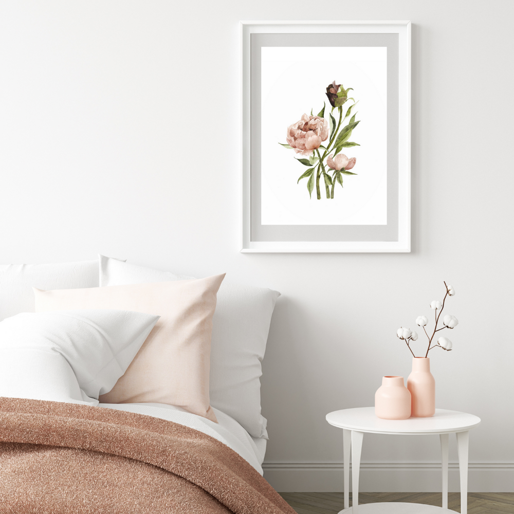 Illustration - Pivoine