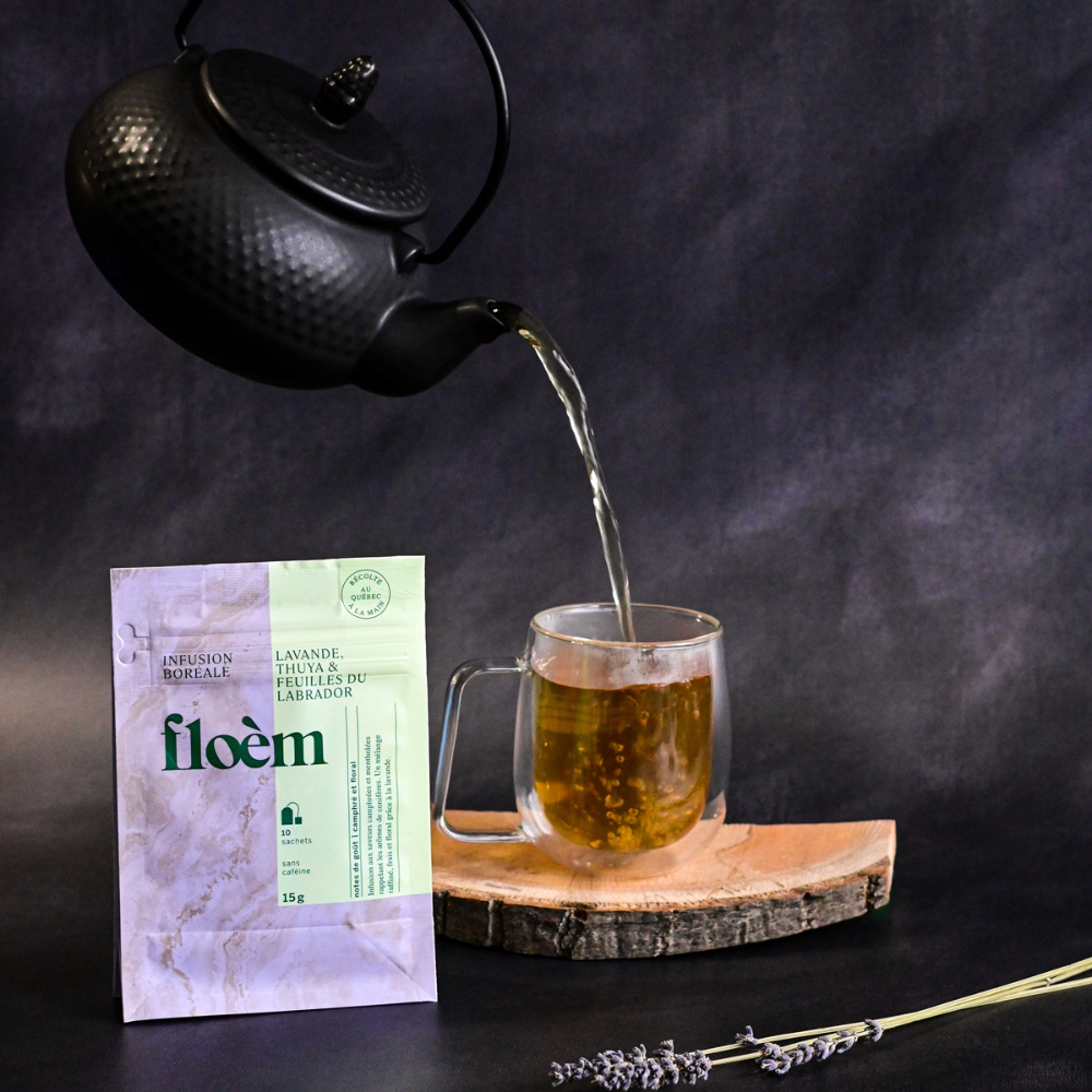 Infusion Boréale - Thuya & Lavande