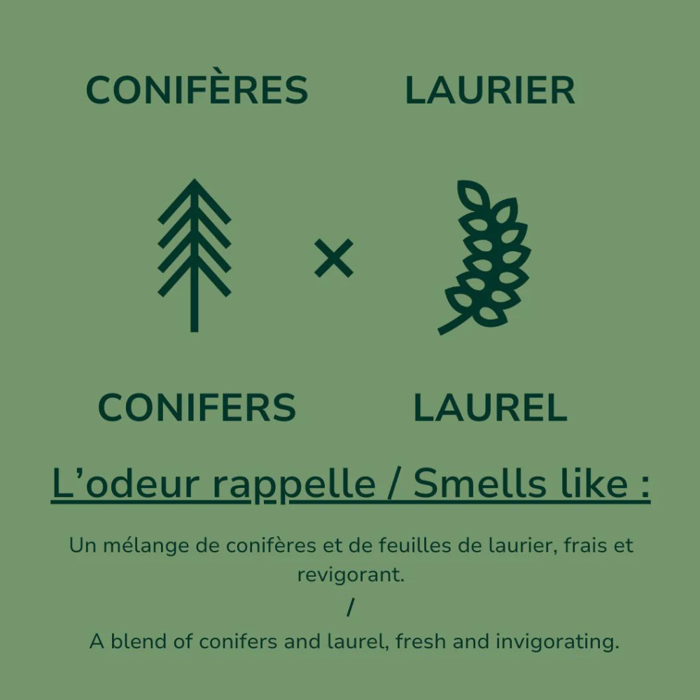 Shampoing naturel fortifiant et densifiant
