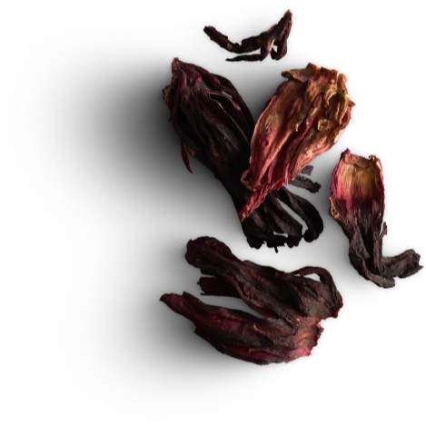 Tisane Inuit - Assortiment des 5 mélanges