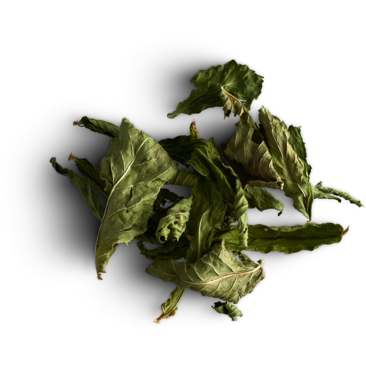 Tisane Inuit - Assortiment des 5 mélanges